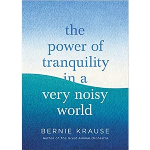 The Power of Tranquility in a Very Noisy World (inbunden, eng)