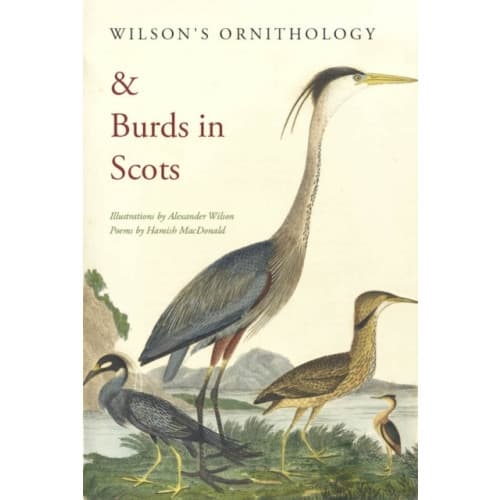 Wilson's Ornithology and Burds in Scots (häftad, eng)