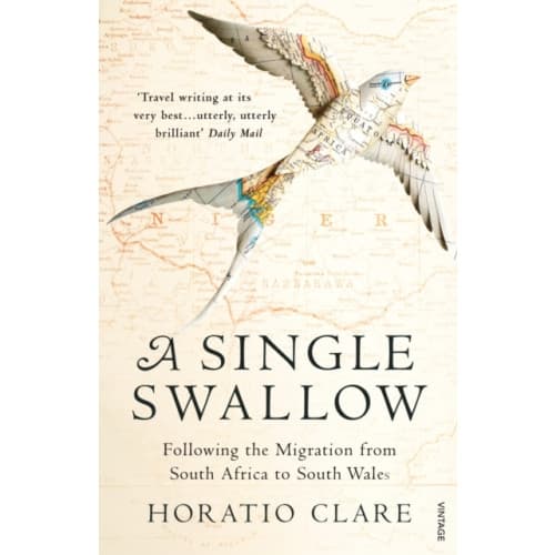 A Single Swallow (häftad, eng)
