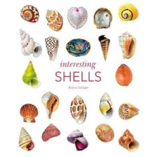 Interesting Shells (inbunden, eng)