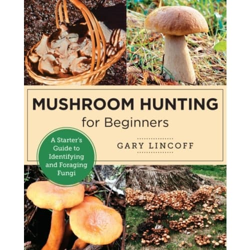 Mushroom Hunting for Beginners (häftad, eng)
