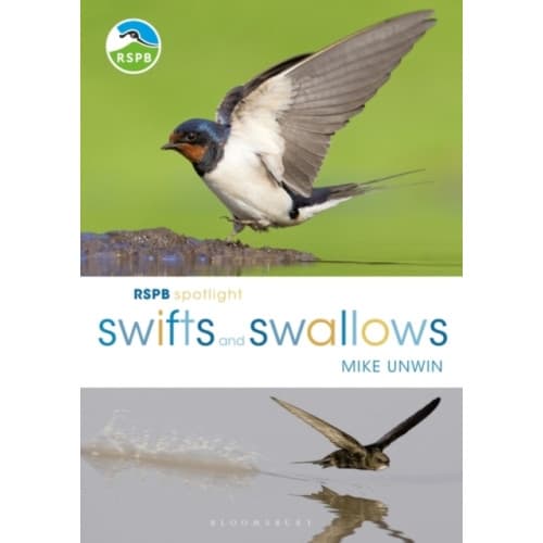 RSPB Spotlight Swifts and Swallows (häftad, eng)