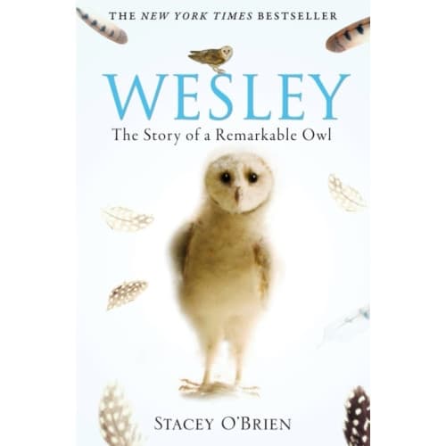 Wesley (häftad, eng)