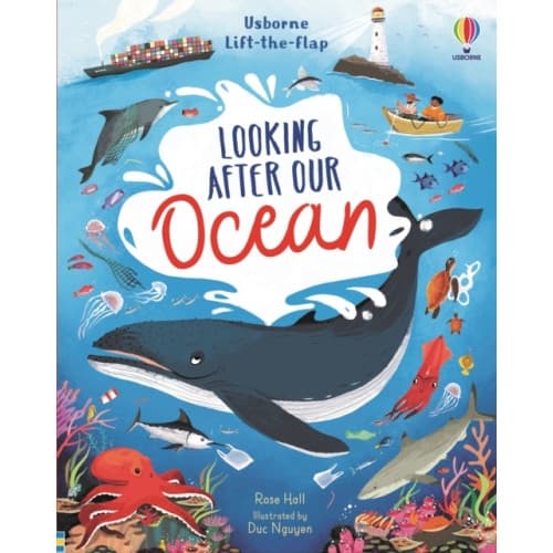 Lift-the-Flap Looking After Our Ocean (bok, board book, eng)