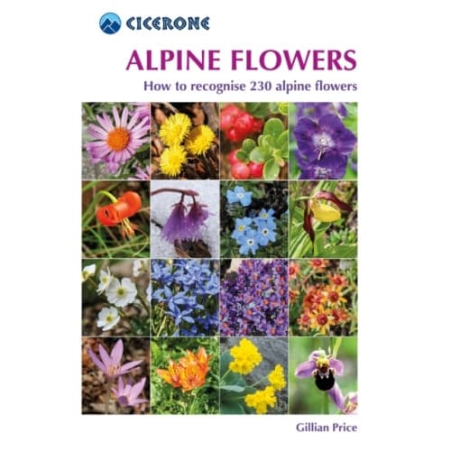 Alpine Flowers (häftad, eng)