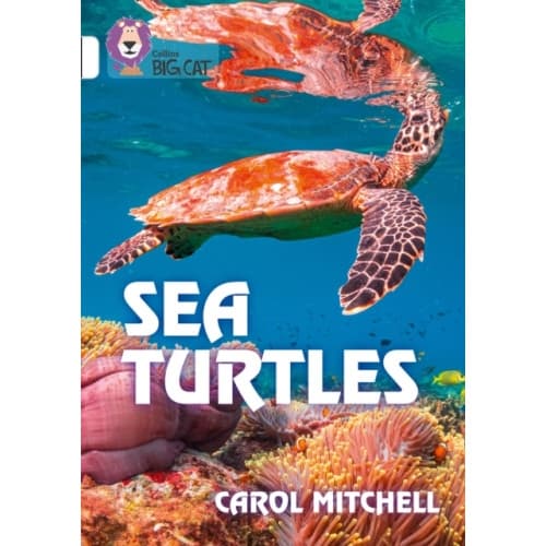 Sea Turtles (häftad, eng)