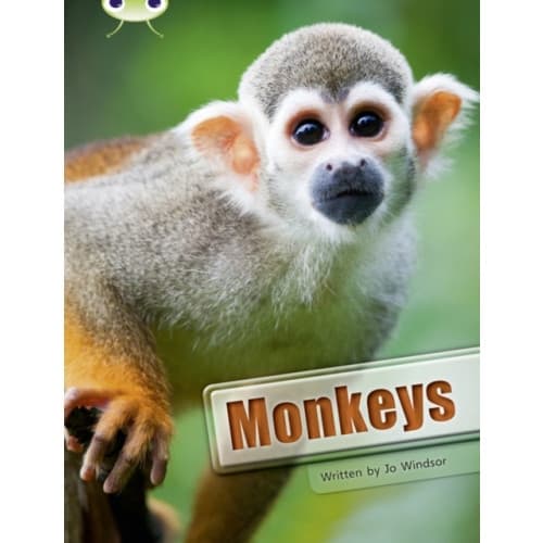 Bug Club Guided Non Fiction Year 3 White A Monkeys (häftad, eng)