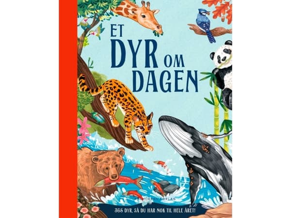 Et dyr om dagen | Miranda Smith