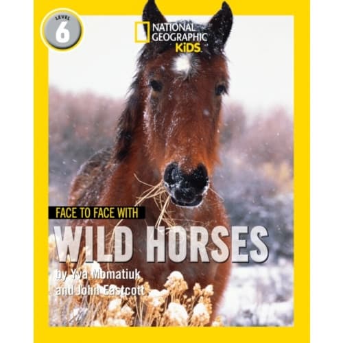 Face to Face with Wild Horses (häftad, eng)