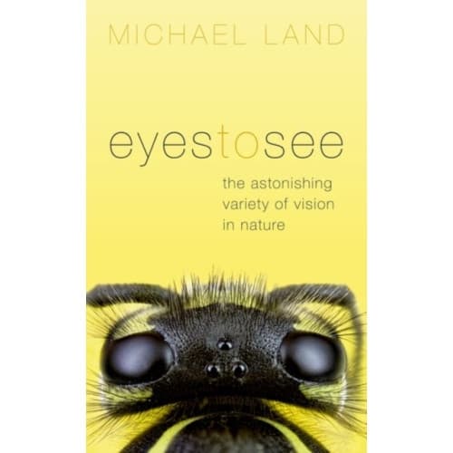 Eyes to See (inbunden, eng)