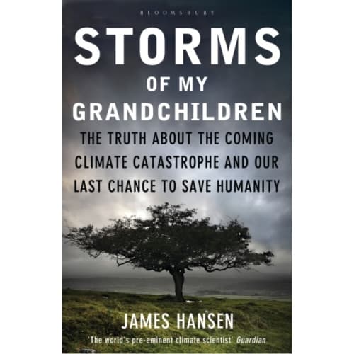 Storms of My Grandchildren (häftad, eng)
