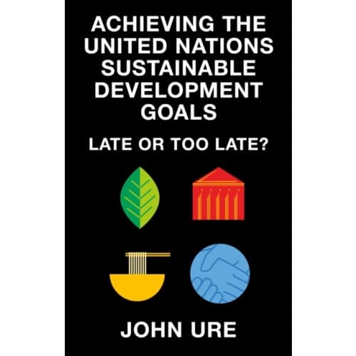 Achieving the United Nations Sustainable Development Goals (häftad, eng)