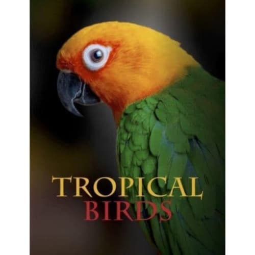 Tropical Birds (inbunden, eng)