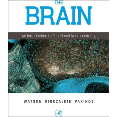The Brain (inbunden, eng)