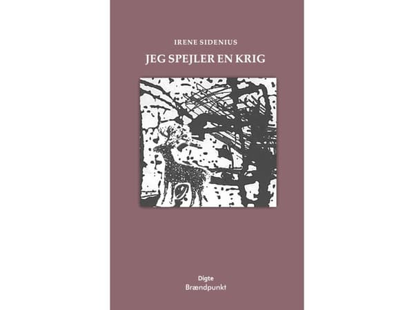 Jeg spejler en krig | Irene Sidenius