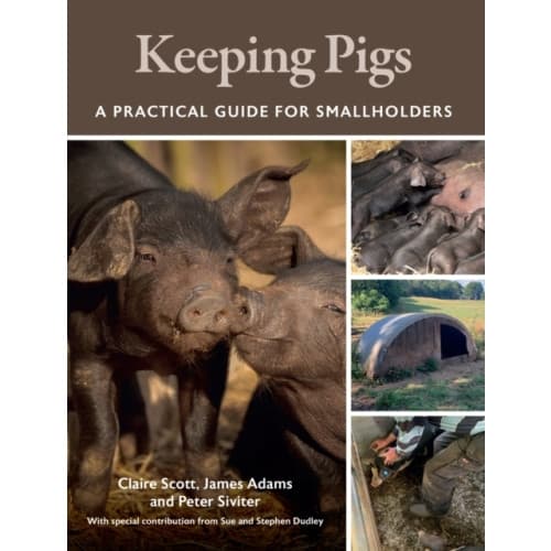 Keeping Pigs (häftad, eng)