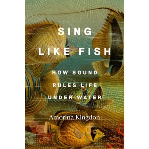 Sing Like Fish: How Sound Rules Life Under Water (inbunden, eng)
