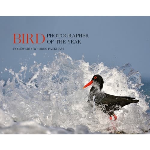 Bird Photographer of the Year (inbunden, eng)