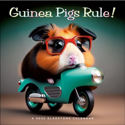 Guinea Pig 2021 Calendar: NOT A BOOK: 9781713900559