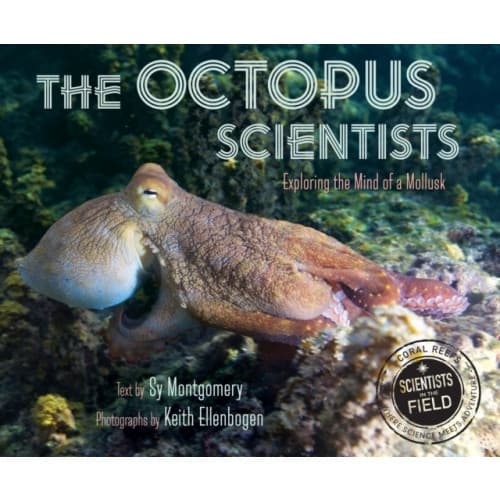 The Octopus Scientists (häftad, eng)