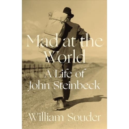 Mad at the World (inbunden, eng)