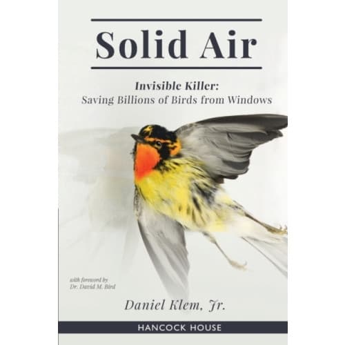Solid Air (häftad, eng)