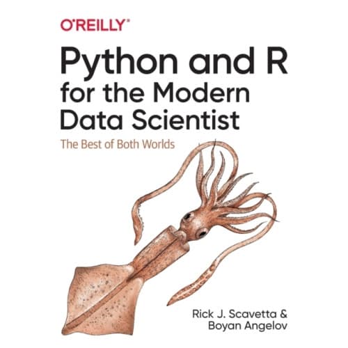 Python and R for the Modern Data Scientist (häftad, eng)