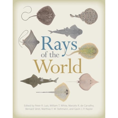 Rays of the World (inbunden, eng)