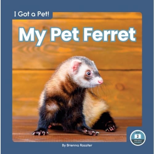I Got a Pet! My Pet Ferret (inbunden, eng)