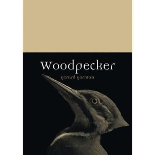 Woodpecker (häftad, eng)