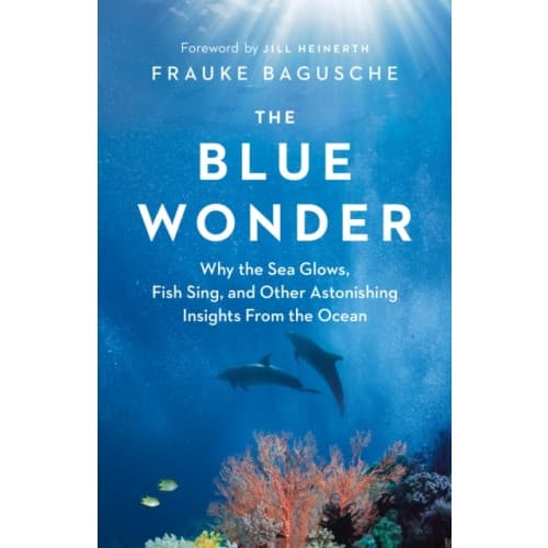 The Blue Wonder (inbunden, eng)