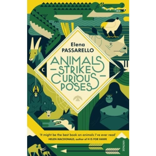 Animals Strike Curious Poses (häftad, eng)