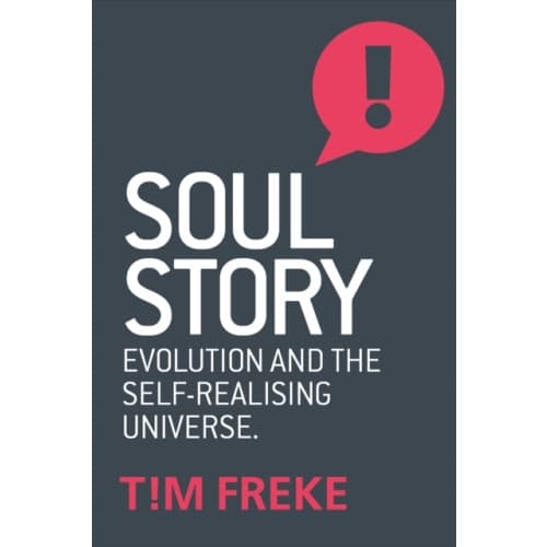 Soul Story (häftad, eng)