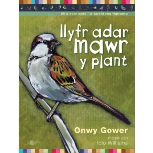 Llyfr Adar Mawr y Plant (häftad, wel)