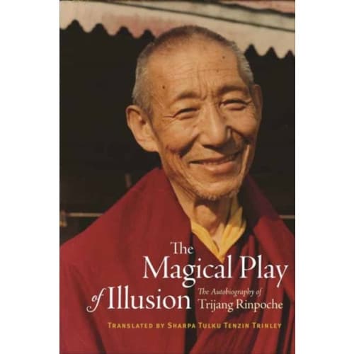 The Magical Play of Illusion (inbunden, eng)