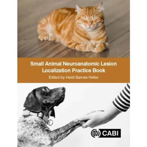 Small Animal Neuroanatomic Lesion Localization Practice Book (häftad, eng)