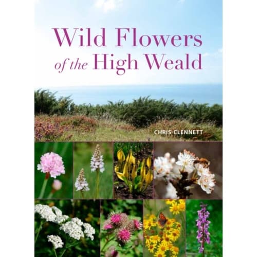 Wild Flowers of the High Weald (häftad, eng)