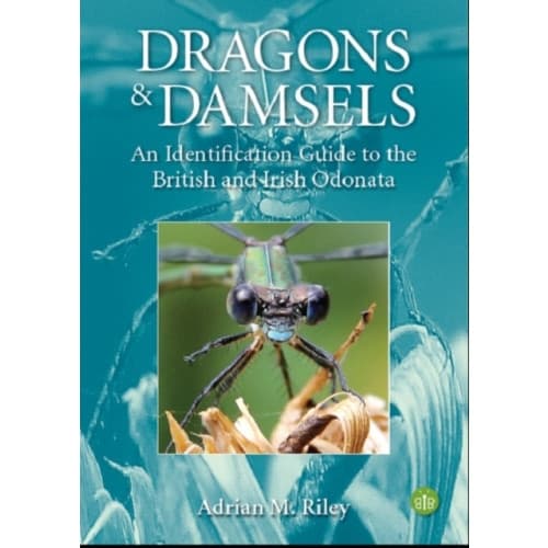 Dragons and Damsels (häftad, eng)