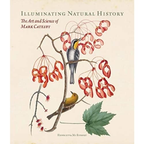 Illuminating Natural History (inbunden, eng)