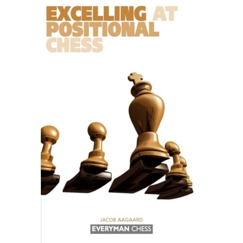 Excelling at Positional Chess: (häftad, eng)