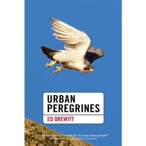 Urban Peregrines (inbunden, eng)