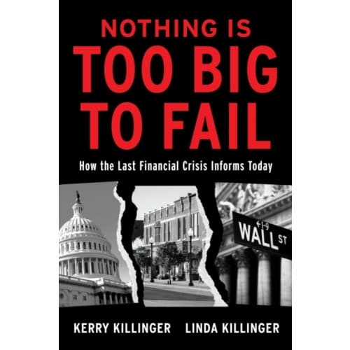 Nothing Is Too Big To Fail (inbunden, eng)
