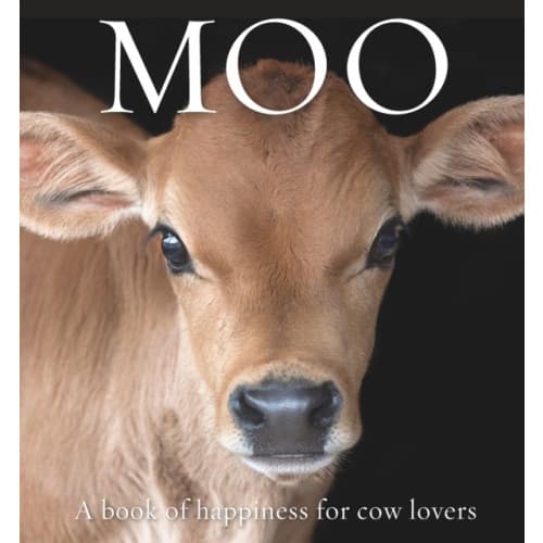 Moo (inbunden, eng)