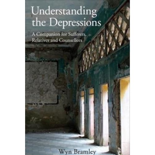 Understanding the Depressions (häftad, eng)