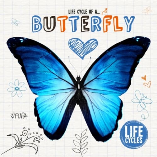 Butterfly (inbunden, eng)