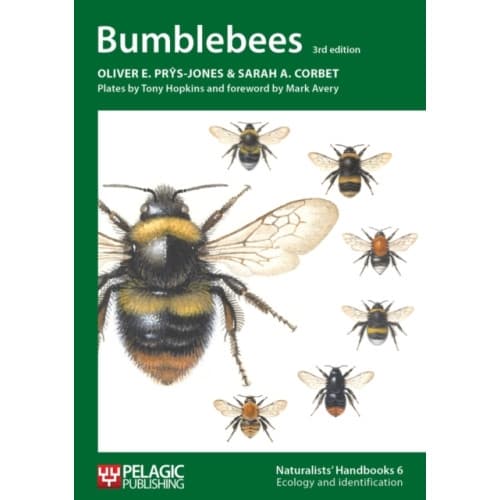 Bumblebees (häftad, eng)