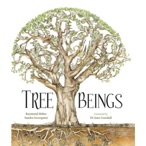 Tree Beings (inbunden, eng)