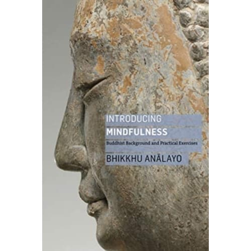 Introducing Mindfulness (häftad, eng)