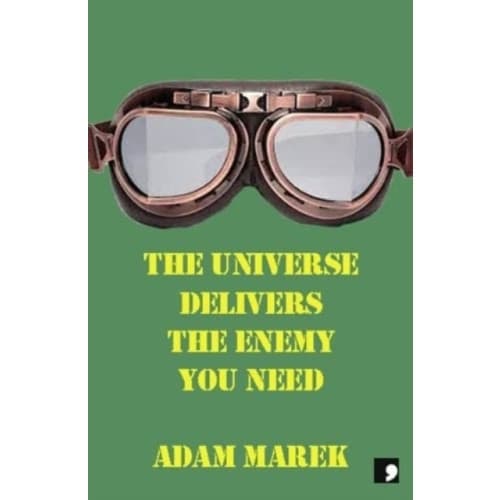The Universe Delivers The Enemy You Need (häftad, eng)