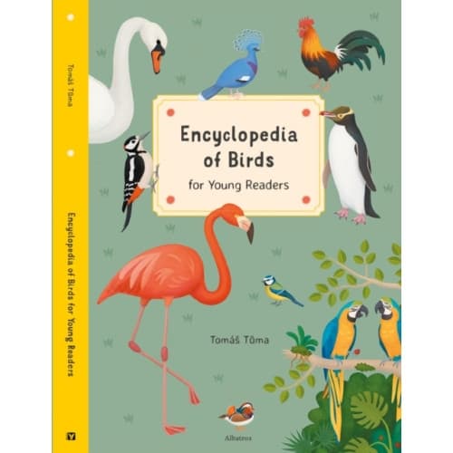 Encyclopedia of Birds (inbunden, eng)